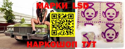 гидропоника Ставрополь